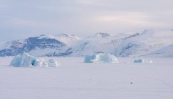 Pescadores en el sistema de fiordos de Uummannaq, noroeste de Groenlandia. Los fiordos se congelan durante el invierno, los pescadores utilizan trineos de motor o de perro para conducir a los agujeros en el hielo para bajar hasta 1000m líneas largas con cebo. América del Norte, Groenlandia - foto de stock