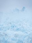 Glacier Eqip (Eqip Sermia ou glacier Eqi) au Groenland. , Régions polaires, Danemark, août — Photo de stock