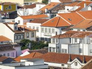 Capitale Angra do Heroismo, le centre historique fait partie du patrimoine mondial de l'UNESCO. Île Ilhas Terceira, une partie des Açores (Ilhas dos Acores) dans l'océan Atlantique, une région autonome du Portugal. Europe, Açores, Portugal . — Photo de stock