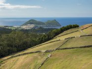 Campos e pastagens no sudoeste da ilha. Ilha Terceira, parte dos Açores (Ilhas dos Acores) no oceano atlântico, uma região autónoma de Portugal. Europa, Açores, Portugal . — Fotografia de Stock