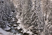 Río Alpino, Val Ferret, Valle d 'Aosta, Italia - foto de stock