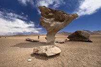 Arbol de piedra, Reserva Nacional Fauna Andina Eduardo Avaroa, Lipez Meridional, Potos, Uyuni, Bolivia, Sudamérica - foto de stock