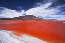 Laguna Colorada, Reserva Nacional da Fauna Andina Eduardo Avaroa, Lipez do Sul, Potos, Uyuni, Bolívia, América do Sul — Fotografia de Stock