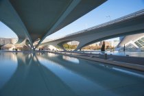 Assut de l'Or Bridge, Ciutat de les Arts i les Cincies, Valencia, Spain, Europe — стокове фото