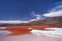 Laguna Colorada, Reserva Nacional Fauna Andina Eduardo Avaroa, Lipez Meridional, Potos, Uyuni, Bolivia, Sudamérica - foto de stock