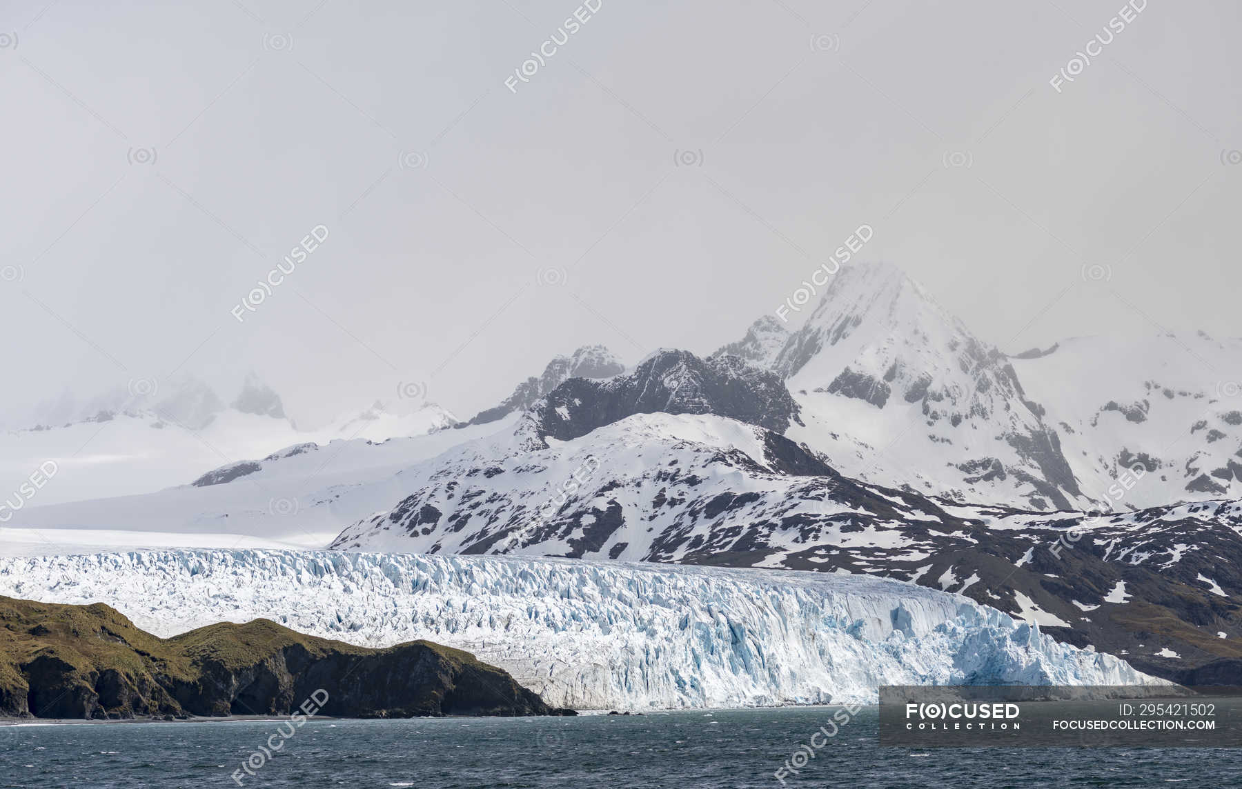 Fortuna Glacier at Cape Best. Antarctica, Subantarctica, South Georgia ...