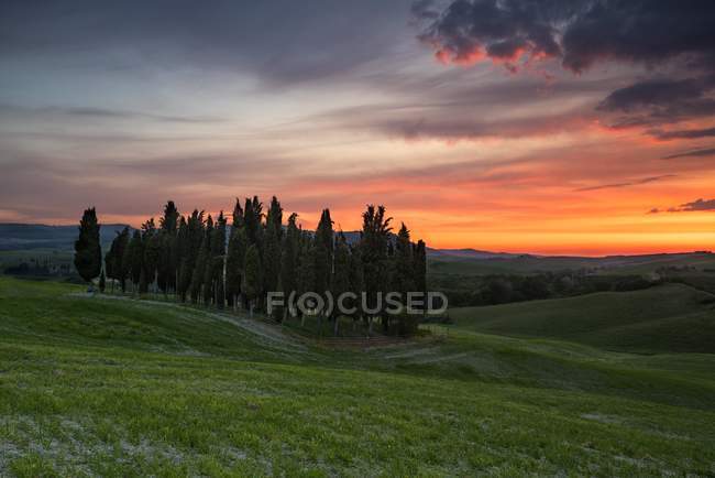 Landschaft bei Sonnenuntergang, val d 'orcia, Toskana, Italien, Europa — Stockfoto