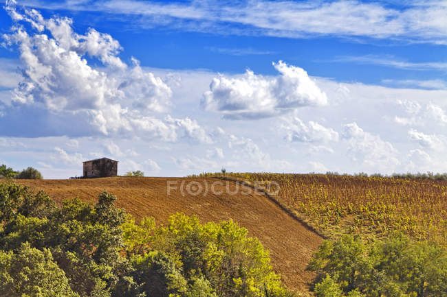 Countryside around Colle Val dElsa,Tuscany, Italy, Europe — Stock Photo