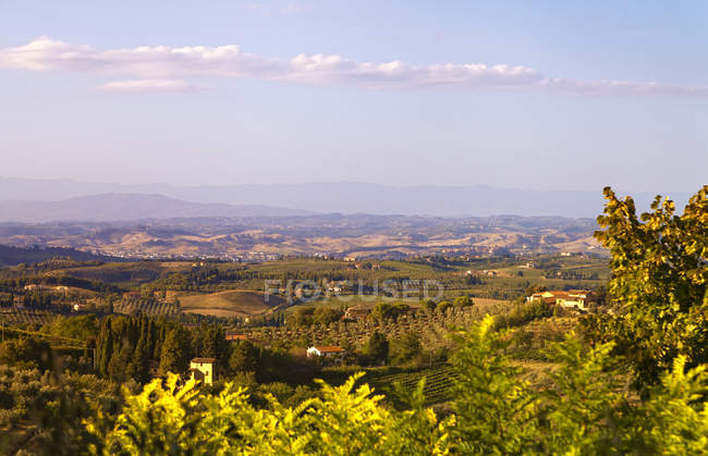 Campo em torno de San Gimignano, Toscana, Itália, Europa — Fotografia de Stock