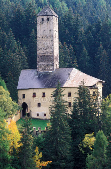Castillo, Monguelfo, Val Pusteria, Trentino Alto Adige, Italia - foto de stock