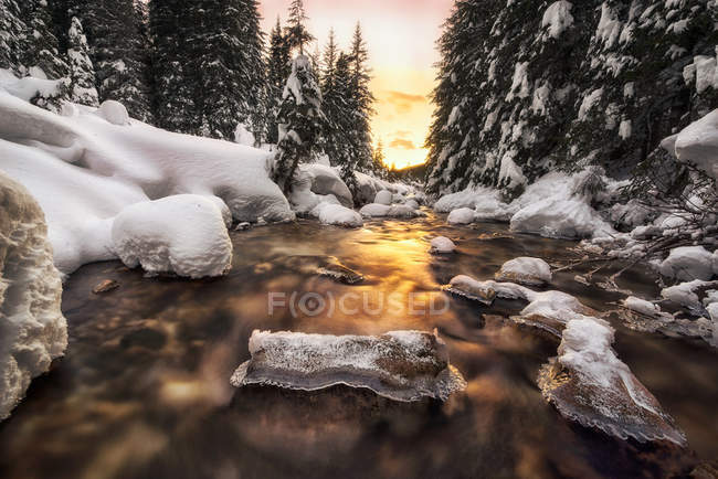 Atardecer de invierno, Valle de Venagia, Parque Natural de Panaveggio, Dolomitas, Trentino-Alto Adigio, Italia - foto de stock