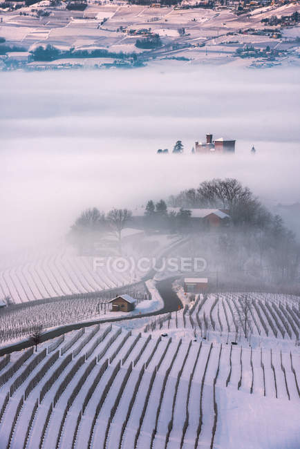 Зимовий пейзаж, Ґрінцане Кавур, Ланге, П'ємонт, Італія — стокове фото