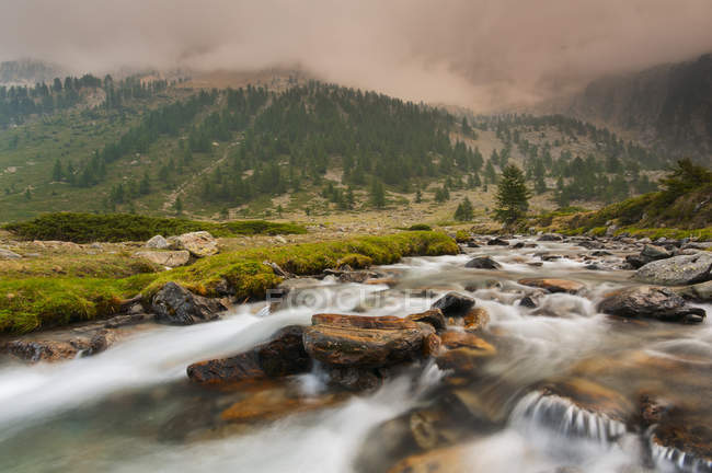 Torrent par temps nuageux, Parc Naturel Alpi Marittime, Vallée du Gesso, Piémont, Italie — Photo de stock