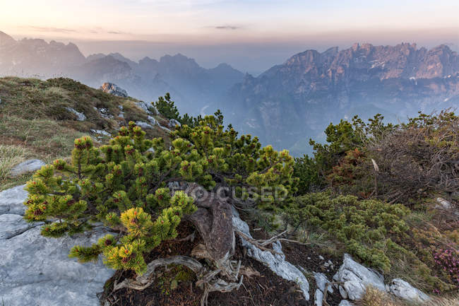 Ein blick auf die monti del sole rechts und schiara links vom mont celo. agordino, dolomiti bellunesi nationalpark, veneto, italien — Stockfoto