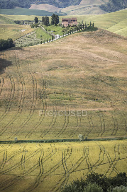 As formas curvas das colinas multicoloridas de Creta Senesi (Argilas Senese) Toscana, Itália, Europa — Fotografia de Stock