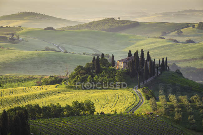 Podere Belvedere, San Quirico d 'Orcia, Val d' Orcia, Tuscany, Italy, Europe — стоковое фото