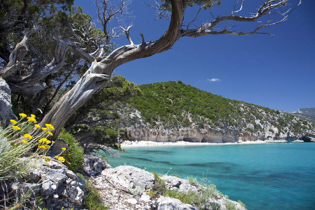 Cala Luna, Dorgali, Golfo di Orosei (Nu), Sardinia, Italy, Europe — стокове фото
