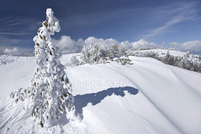 Snow, Bruncuspina, Gennargentu, Fonni (NU), Sardegna, Italia — Foto stock