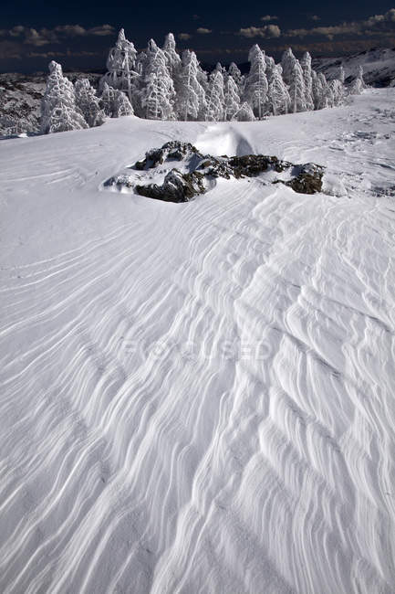 Snow, Bruncuspina, Gennargentu, Fonni (NU), Sardenha, Itália — Fotografia de Stock