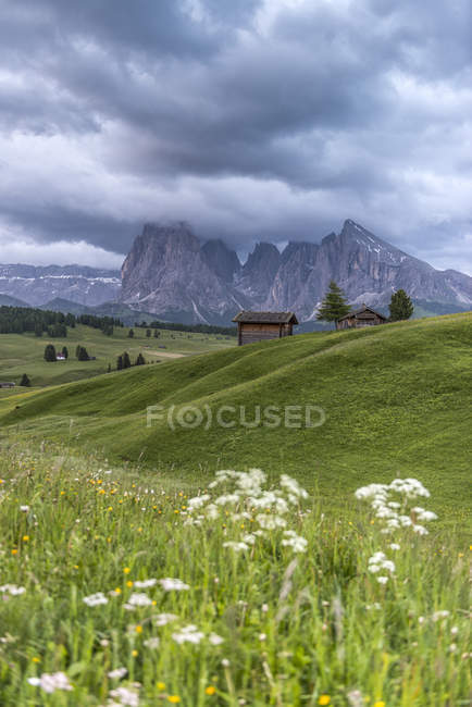 Regenwolken über der Seiser Alm mit den Gipfeln von Langkofel und Plattkofel, Seiser Alm, Dolomiten, Trentino-Südtirol, Italien — Stockfoto