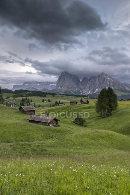 Barns and pastures at the Alpe di Siusi/Seiser Alm. In the background the peaks of Sella, Sassolungo/Langkofel and Sassopiatto/Plattkofel, Alpe di Siusi, Dolomites, Trentino-Alto Adige, Italy — Stock Photo