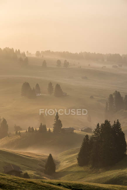 Luce autunnale mattutina sull'Alpe di Siusi, Alpe di Siusi, Dolomiti, Trentino-Alto Adige — Foto stock