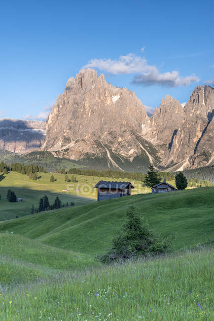 Los últimos rayos de sol en el Alpe di Siusi / Seiser Alm. En el fondo los picos de Sella, Sassolungo / Langkofel y Sassopiatto / Plattkofel, Alpe di Siusi, Dolomites, Trentino-Alto Adige, Italia - foto de stock