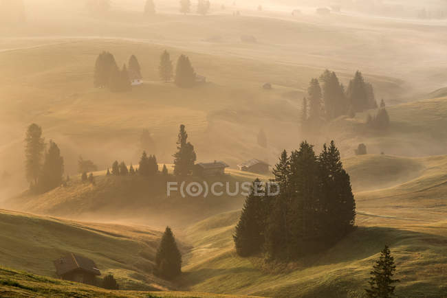 Herbstliches Morgenlicht auf der Seiser Alm, Seiser Alm, Dolomiten, Trentino-Alto adige, Italien — Stockfoto