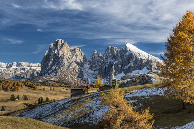Cores de outono no Alpe di Siusi / Seiser Alm com o Sassolungo / Langkofel e o Sassopiatto / Plattkofel no fundo, Alpe di Siusi, Dolomites, Trentino-Alto Adige, Itália — Fotografia de Stock