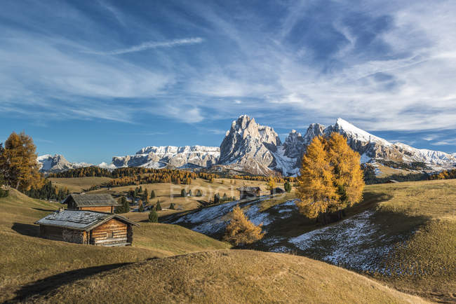 Herbstfarben auf der Seiser Alm mit sella, sassolungo und sassopiatto im Hintergrund, Seiser Alm, Dolomiten, Trentino-Alto adige, Italien — Stockfoto