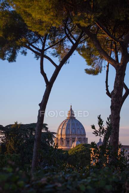 Vista da Catedral de São Pedro através das árvores durante o pôr do sol, Roma, Lácio, Itália — Fotografia de Stock