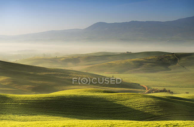 Countryside, San Quirico d 'Orcia, Val d' Orcia, Tuscany, Italy, Europe — стоковое фото