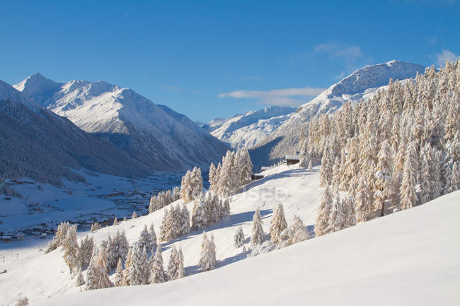 Paysage hivernal blanc à Livigno, Valtellina, Lombardie, Italie — Photo de stock