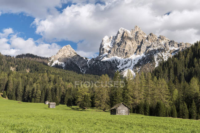 The Picco di Vallandro / Drrenstein, Braies / Prags, Dolomites, Trentino-Alto Adige, Itália, Europa — Fotografia de Stock