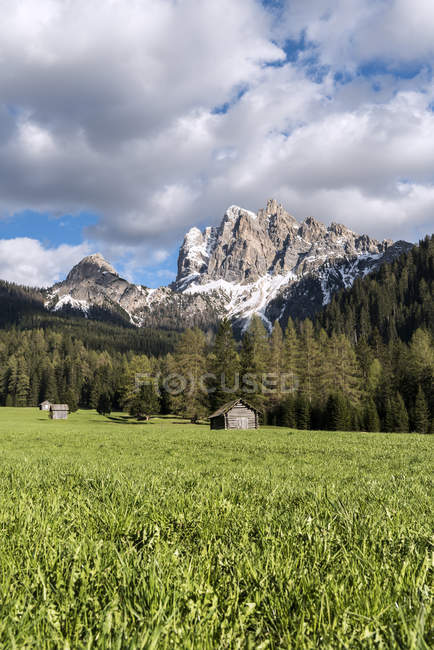El Picco di Vallandro / Drrenstein, Braies / Prags, Dolomitas, Trentino-Alto Adige, Italia, Europa - foto de stock