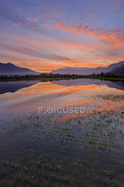 Natural reserve of Pian di Spagna flooded with Mount Legnone reflected in the water at sunset Valtellina Lombardy, Italy, Europe — Stock Photo