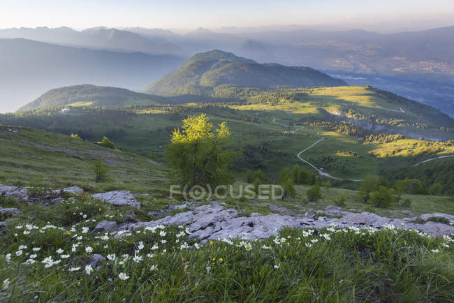 Panoramica del Monte Peller, Trentino, Dolomiti di Brenta, Italia, Europa — Foto stock