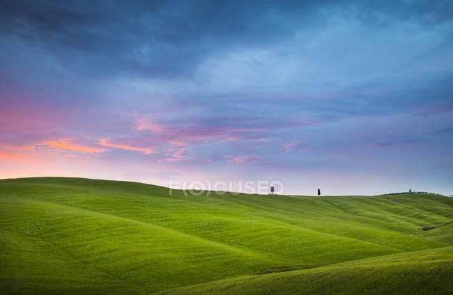 Paisagem do pôr do sol sobre as colinas e os ciprestes, Pienza, Val d 'Orcia, Toscana, Itália, Europa — Fotografia de Stock