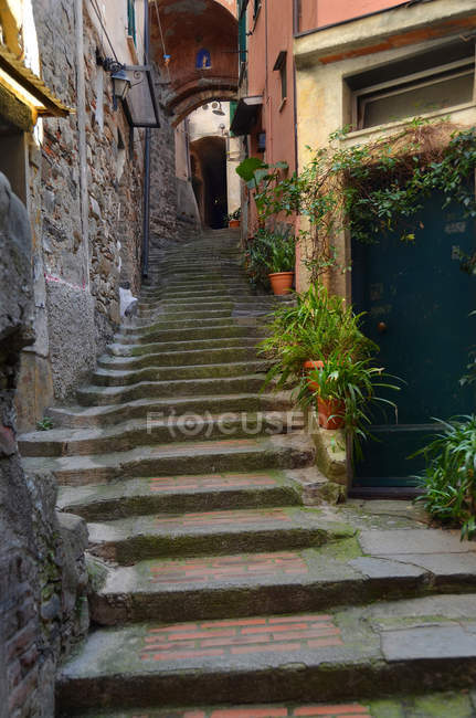 Petite allée d'escalade typique, Vernazza, Ligurie, Italie, Europe
, — Photo de stock