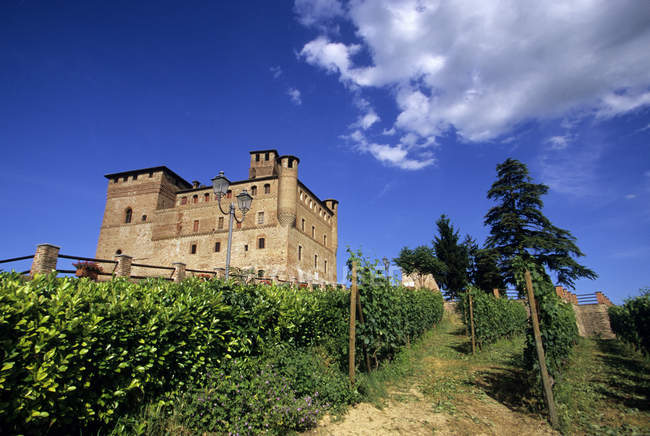 Castillo de Grinzane Cavour, Langhe, Piamonte, Italia - foto de stock