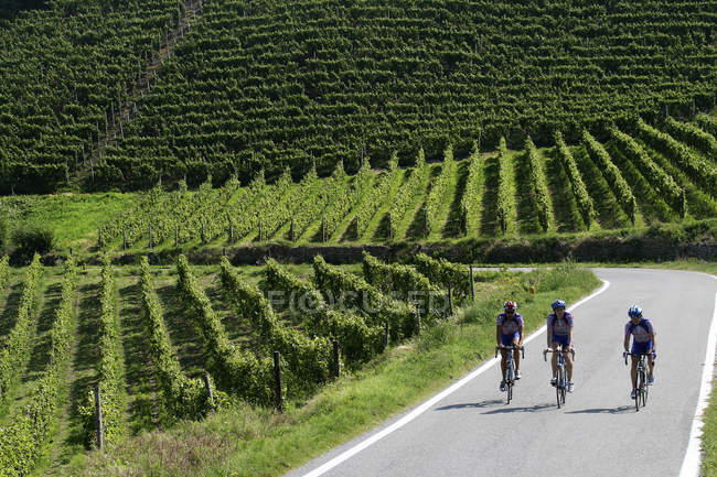 Cycliste sur la route, vallée de Belbo, Langhe, Piémont, Italie — Photo de stock
