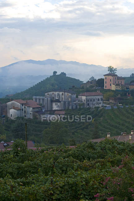 Vineyards and white wine road, Valdobbiadene, Treviso, Italy, Europe — Stock Photo
