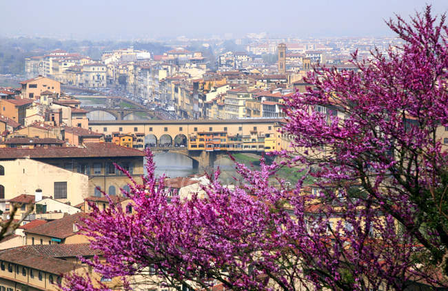 Primavera en Florencia y Ponte Vecchio, Florencia, Toscana, Italia - foto de stock