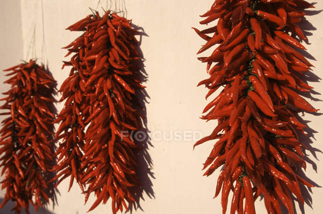Chili peppers, Ischia, Campania, Italy — Stock Photo