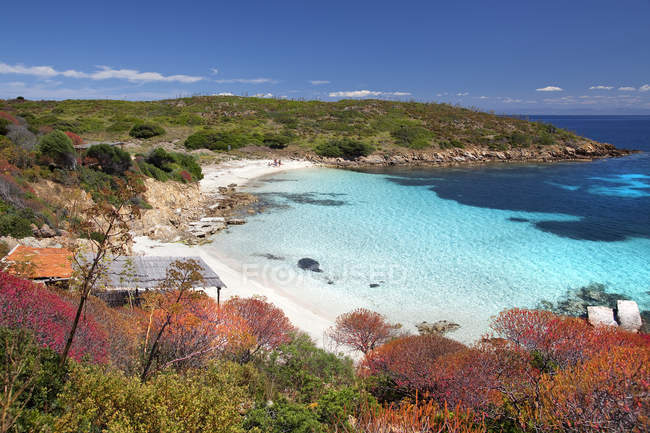 Cala Ponzesi playa, Cala Sabina, Asinara isla, Porto Torres, Cerdeña, Italia, Europa - foto de stock