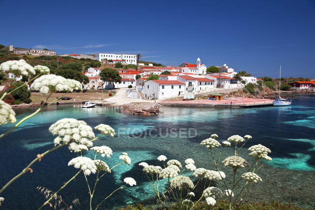Cala d 'Oliva, Asinara island, Porto Torres, Sardinia, Italy, Europe — стоковое фото