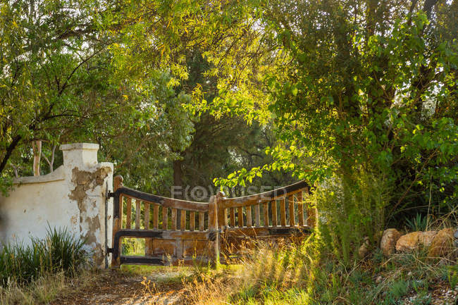 Деревня, старые ворота в заброшенном владении, Лансерия, Фасбург, провинция Гаутенг, Южно-Африканская Республика — стоковое фото