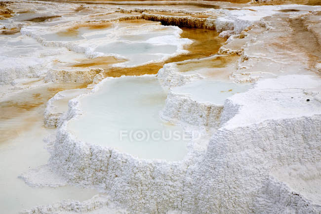 Mammoth Hot Springs, Yellowstone National Park, Wyoming, Stati Uniti d'America (USA), Nord America — Foto stock