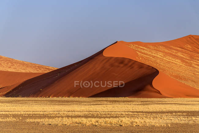 Duna 45 a duna estrela composta de areia de 5 milhões de anos Deserto de Sossusvlei Namib, Parque Nacional Naukluft, Namíbia, África — Fotografia de Stock