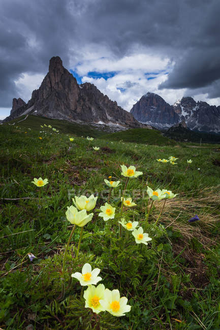 Ra Gusela, Forcella Giau, Giau Pass, Dolomites, Veneto, Cortina d'Ampezzo, Italy — Stock Photo